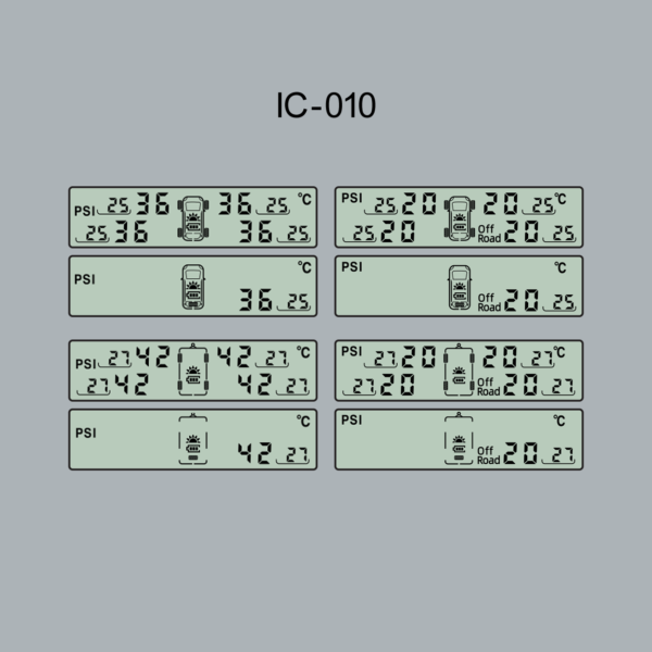 IC010
